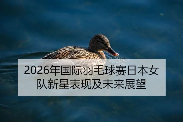 2026年国际羽毛球赛日本女队新星表现及未来展望