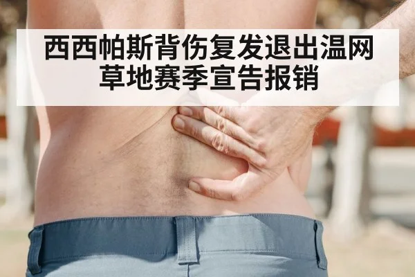 西西帕斯背伤复发退出温网草地赛季宣告报销