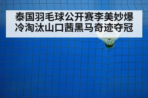 badminton net play